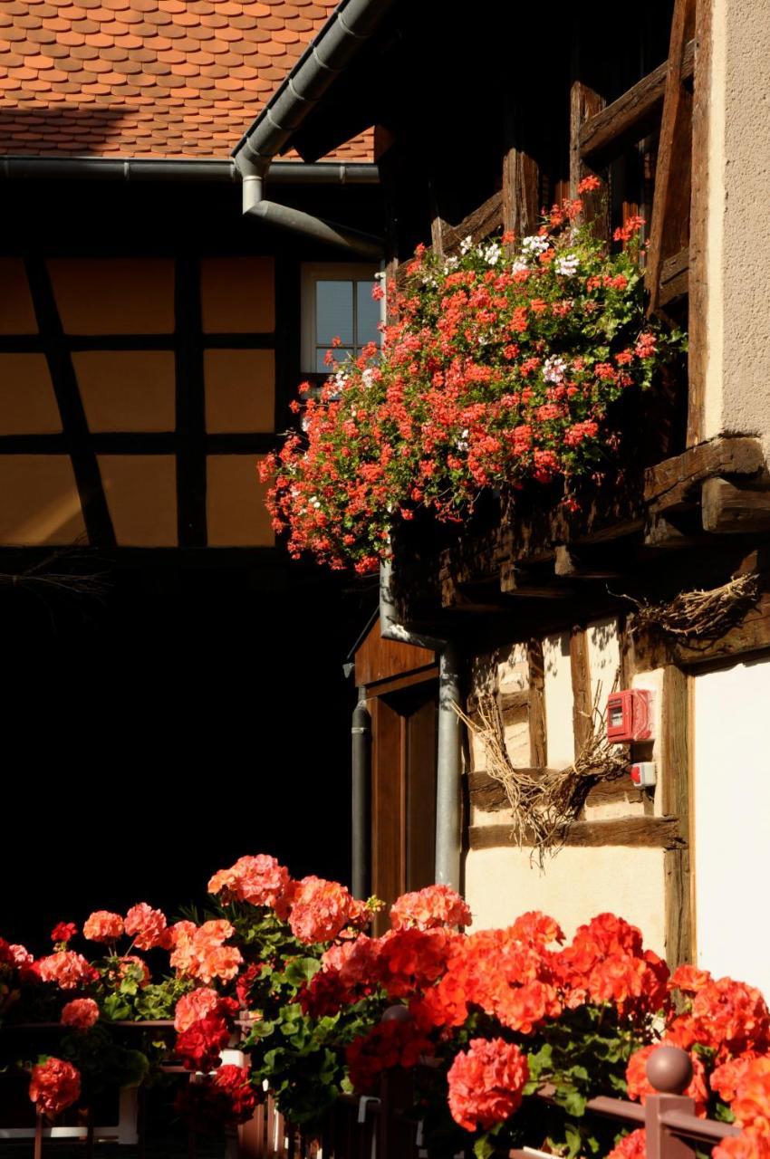 La Cour Du Bailli Suites & Spa Bergheim Zewnętrze zdjęcie
